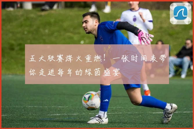 五大联赛烽火重燃!一张时间表带你走进每年的绿茵盛宴